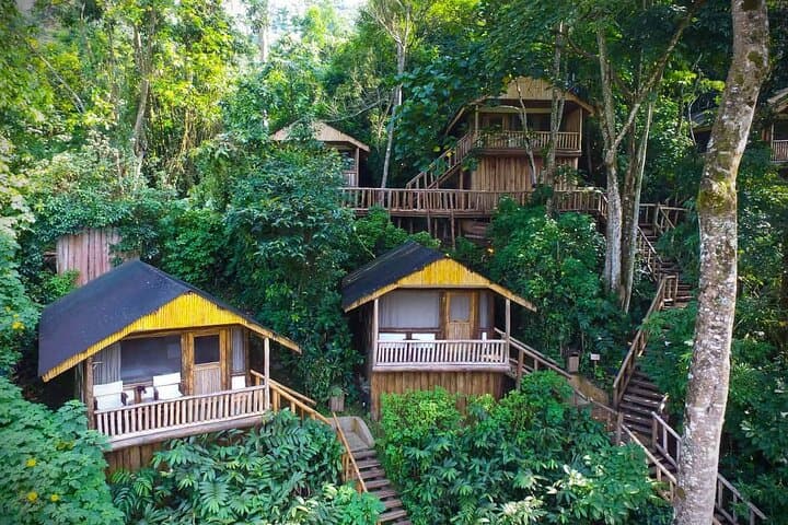 9-Day Uganda Safari Encounter — Gorilla Trekking, Chimps, Rhinos & Murchison Falls photo 4