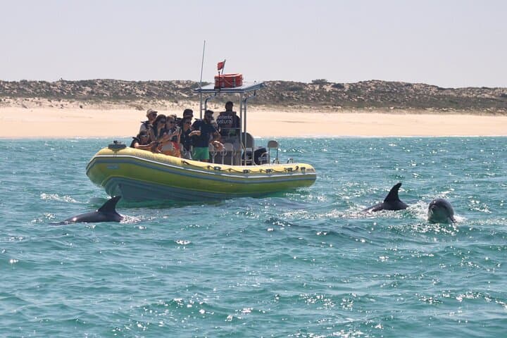 Dolphin Watching in Arrábida Marine Park — Boat Tours from Sesimbra photo 4