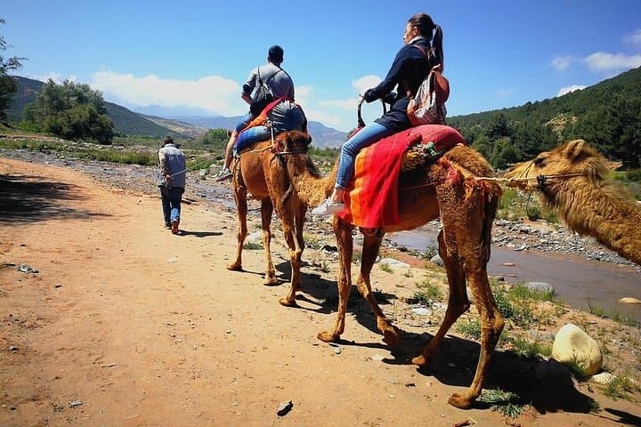Atlas Mountains Day Trip from Marrakech — Imlil Hike, Berber Villages & Camel Ride