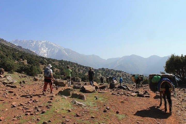 High Atlas 3-Day Trek from Marrakech — Berber Villages, Passes & Waterfalls photo 5