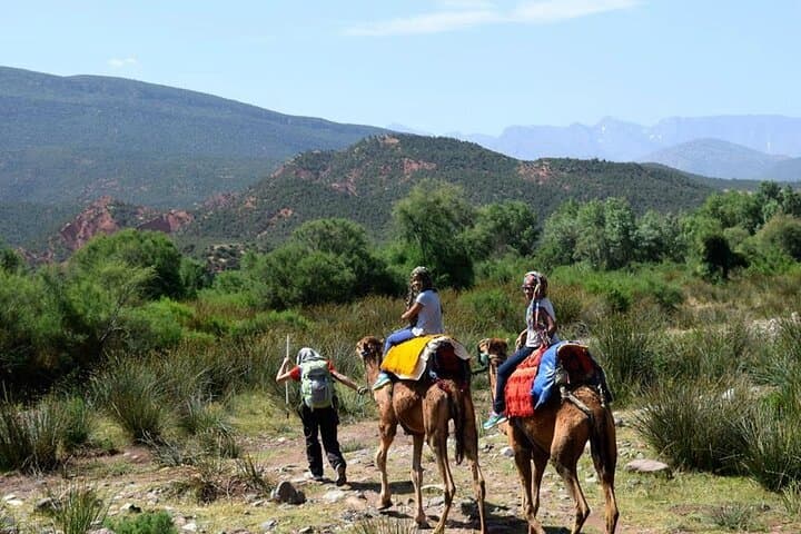 Atlas Mountains Day Trip from Marrakech: Imlil Hike, Three Valleys & Camel Ride photo 3