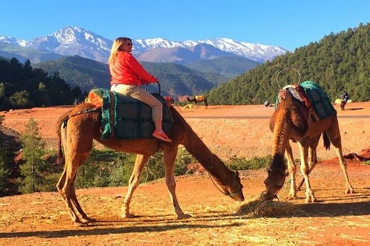 Atlas Mountains Day Trip from Marrakech: Imlil Hike, Three Valleys & Camel Ride