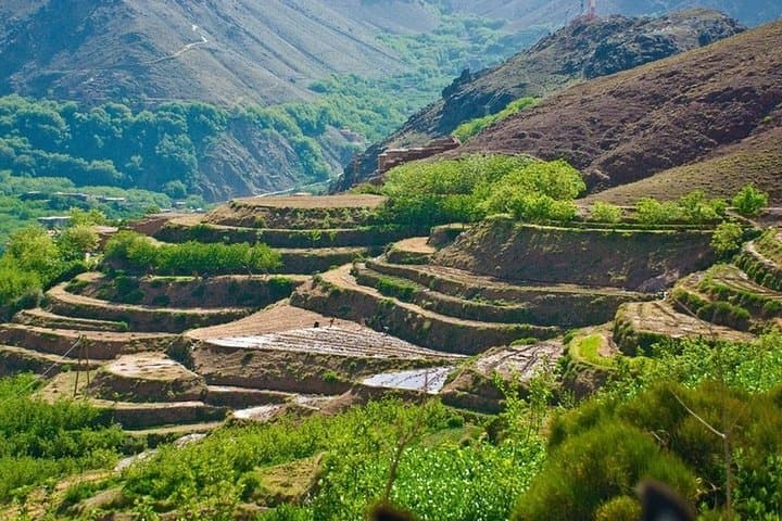 Atlas Mountains Day Trip from Marrakech: Imlil Hike, Three Valleys & Camel Ride photo 6