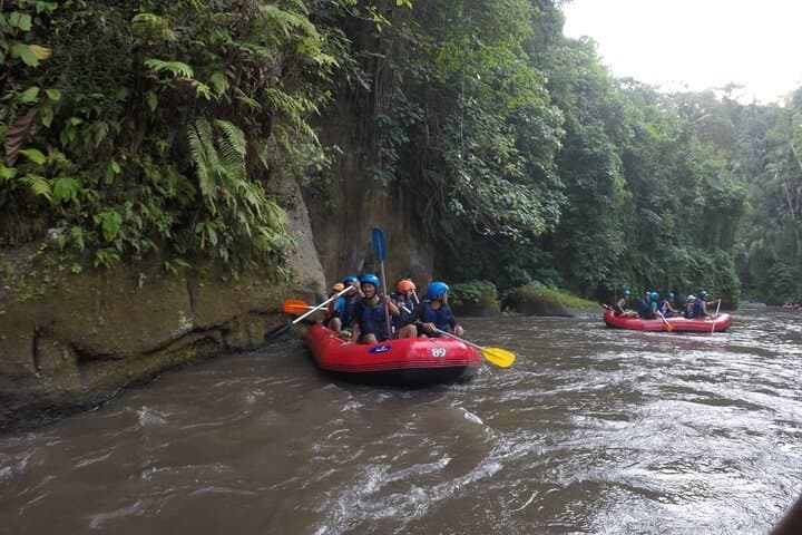 Ayung River Rafting in Ubud: Beginner-Friendly Whitewater Through Bali's Valley photo 2