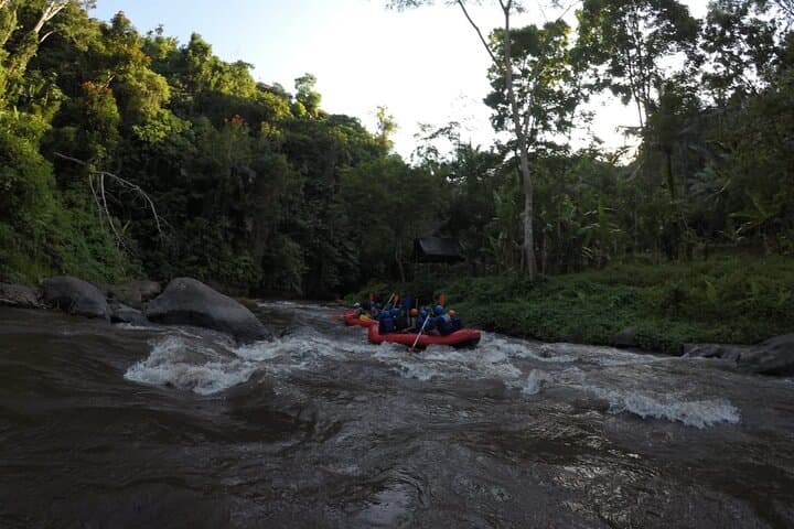 Ayung River Rafting in Ubud: Beginner-Friendly Whitewater Through Bali's Valley photo 3