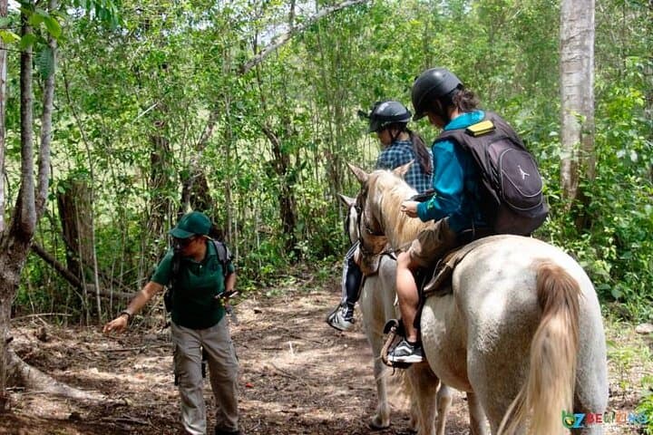 Xunantunich Horseback Riding Tour — Ride the Mopan River to Ancient Maya Ruins photo 3
