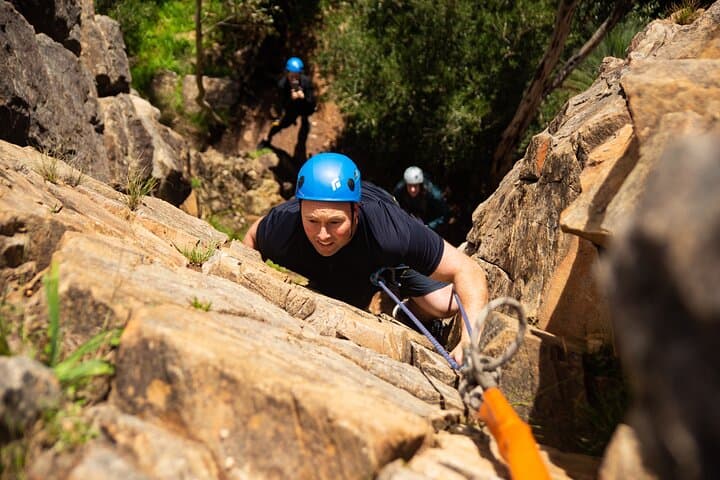 Morialta Gorge Rock Climbing and Abseiling — Full-Day Adventure in Adelaide