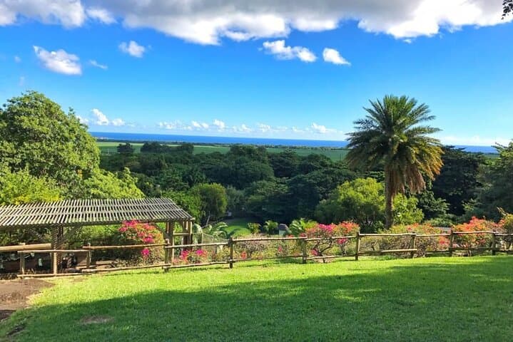 Casela Bird Park and La Vallée des Couleurs — Full-Day Private Taxi from Port Louis photo 3