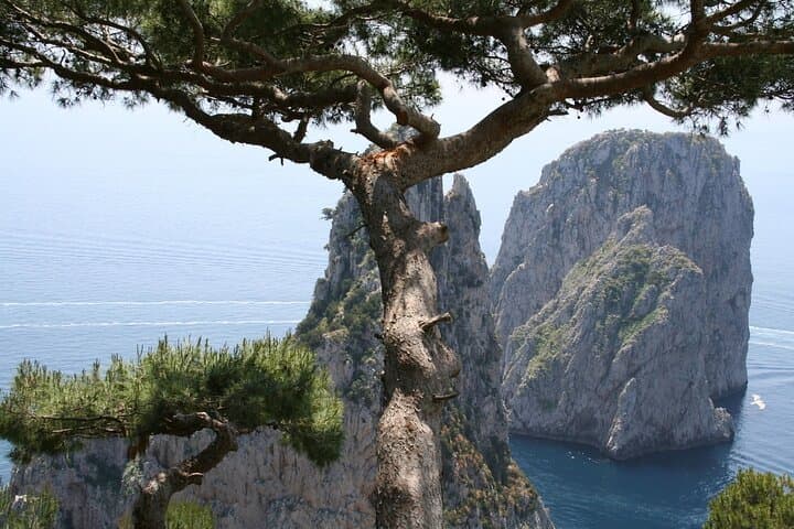 Capri Blue Grotto Family Day Trip from Naples: Boat Crossing, Mount Solaro & Piazzetta photo 3