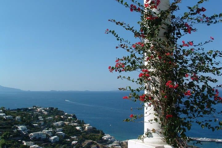Capri Blue Grotto Family Day Trip from Naples: Boat Crossing, Mount Solaro & Piazzetta photo 5