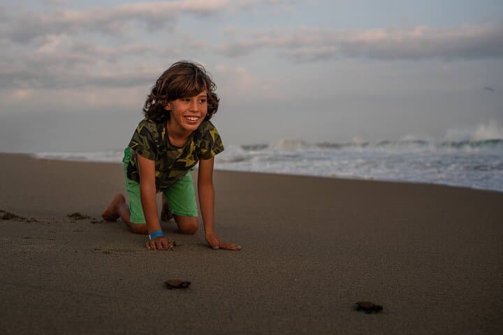 Huatulco Turtle Release and Sunset Tour: Beach Sanctuary Experience photo 3