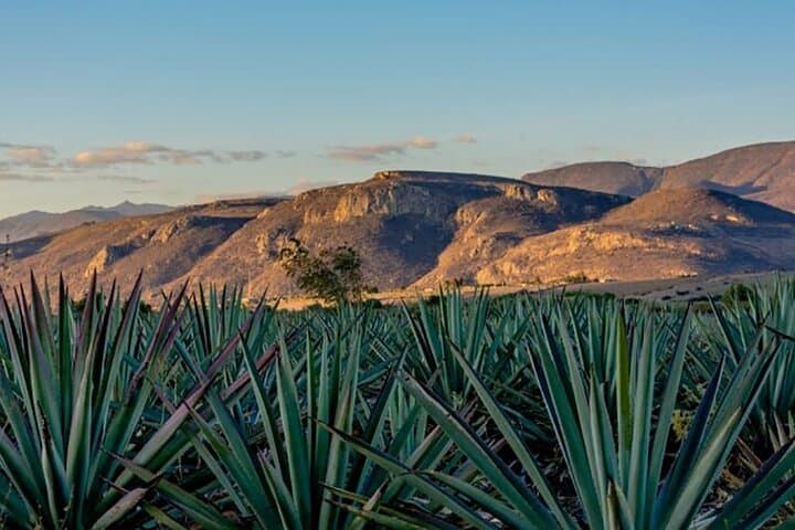 Overnight 2-Day Oaxaca Cultural and Nature Experience from Huatulco photo 6