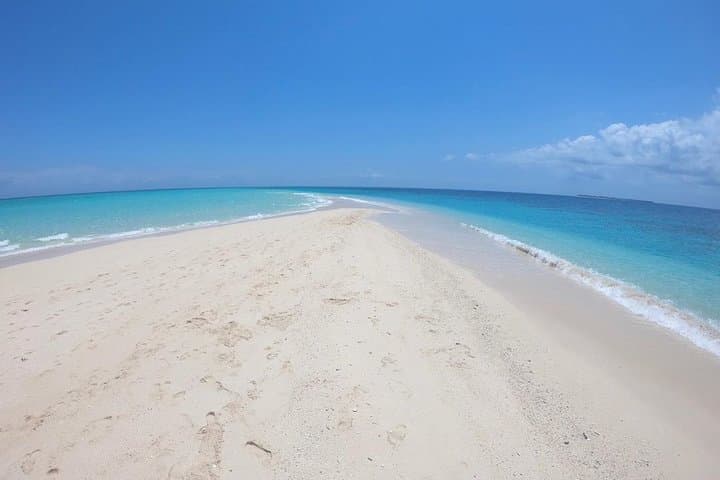 Full-Day Prison Island & Nakupenda Sandbank: Stone Town Boat Trip with Lunch photo 2
