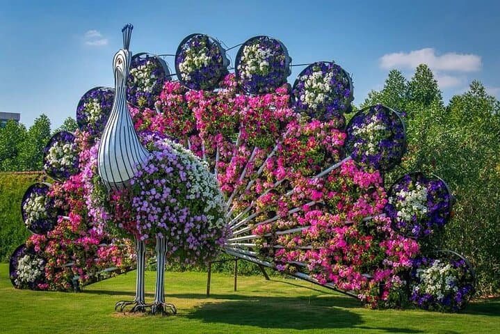 Exploring Dubai Miracle Garden: A Three-Hour Floral Oasis in the Desert photo 6
