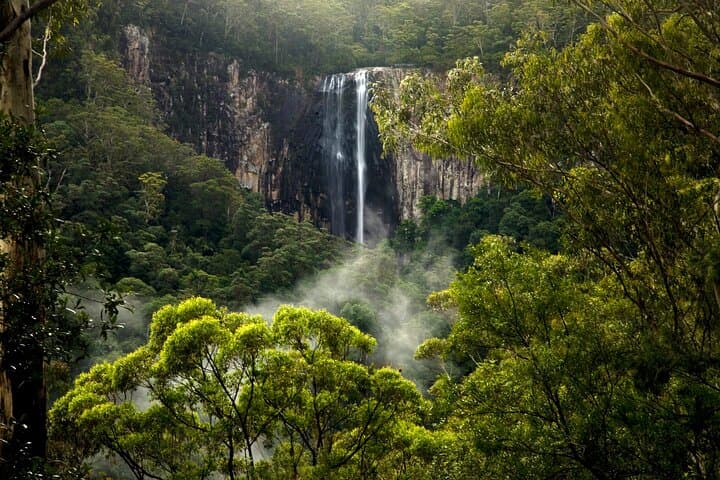 Byron Bay Glow-worms, Waterfalls & Rainforest Day Trip photo 5