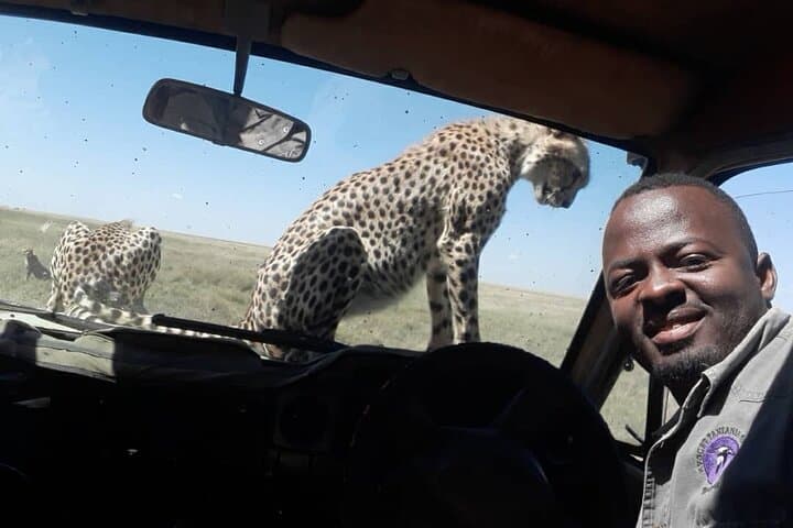 5-Day Tanzania Budget Camping Safari: Tarangire, Serengeti & Ngorongoro