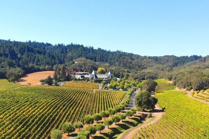 Private Sonoma Valley Wine Country Tour — Tastings, Caves & Scenic Drives photo 2