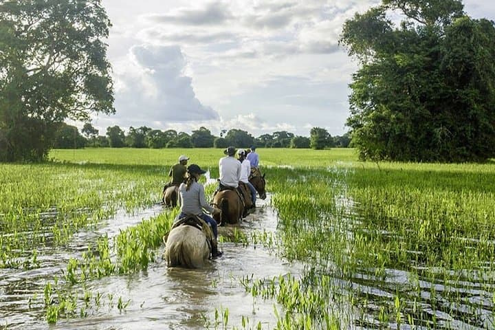 Pantanal and Bonito: 5-Night Private Wild Nature Adventure in Brazil photo 2