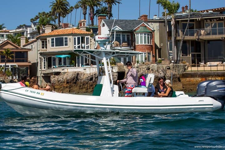 High-Speed Private Dolphin and Whale Watching Tour in Newport Beach photo 2