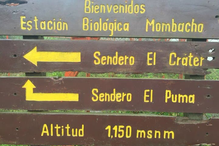 Mombacho Volcano Trails: Cloud-Forest Hikes, Crater Walks & 2km Zipline Near Granada photo 5