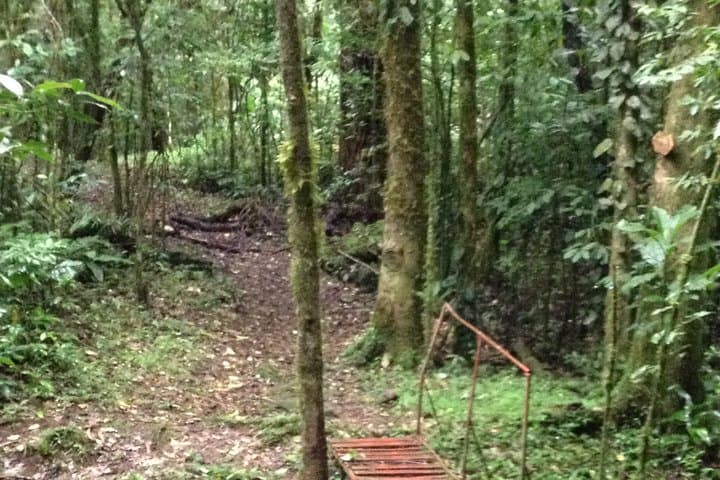 Mombacho Volcano Trails: Cloud-Forest Hikes, Crater Walks & 2km Zipline Near Granada photo 6