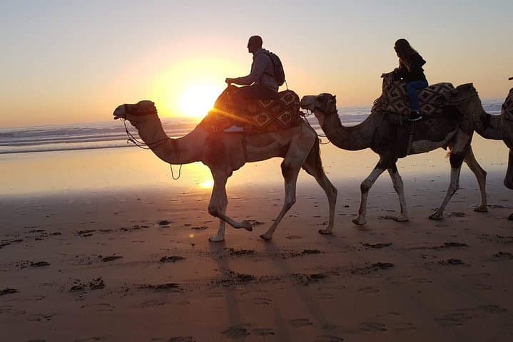 Sahara Day Adventure from Agadir — Camel Ride, Tiznit & Souss-Massa photo 2