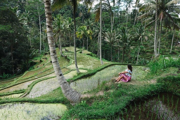 Private Bali Car Charter with Driver — 10-Hour Custom Bali Tour from Seminyak photo 4