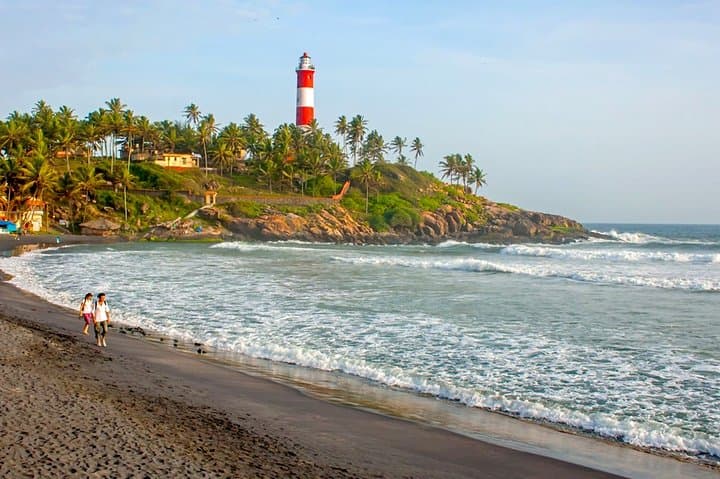 7-Night Kerala Highlights: Kochi, Munnar Tea Hills, Periyar Wildlife & Alleppey Backwaters photo 2