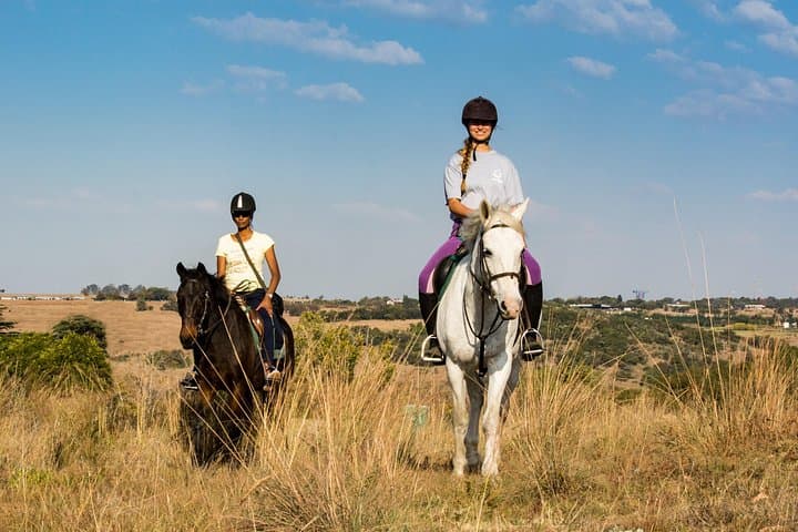 Horseback Trail Rides Near Johannesburg: Muldersdrift Small-Group Adventures photo 1