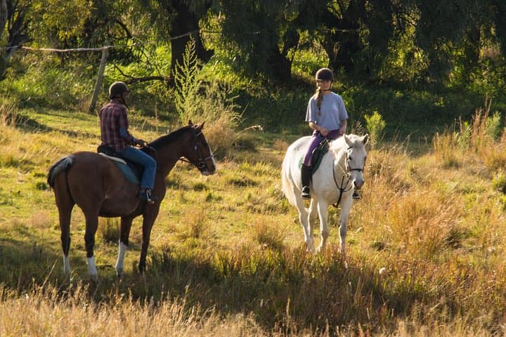 Horseback Trail Rides Near Johannesburg: Muldersdrift Small-Group Adventures photo 2