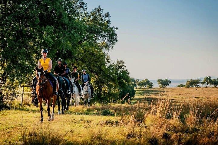 Horseback Trail Rides Near Johannesburg: Muldersdrift Small-Group Adventures photo 4