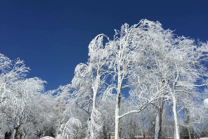 Niagara Falls Winter Wonderland USA Small-Group Tour — Ice Formations & Cave of the Winds photo 5