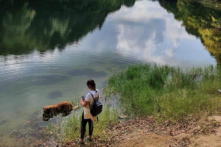 Belgrad Forest Day Hike with Local Hikers — Lakes, Village Cafes & Istanbul Nature photo 3