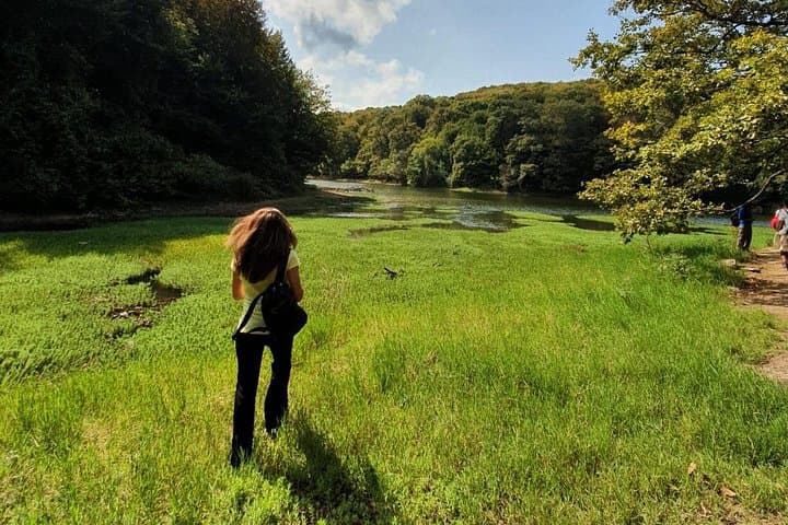 Belgrad Forest Day Hike with Local Hikers — Lakes, Village Cafes & Istanbul Nature photo 4