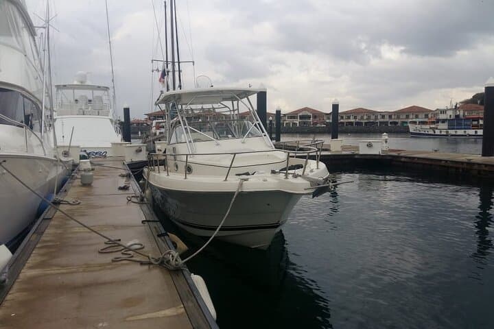 6-Hour High-Sea Fishing in the Gulf of Panama — Charter from Panama City photo 6