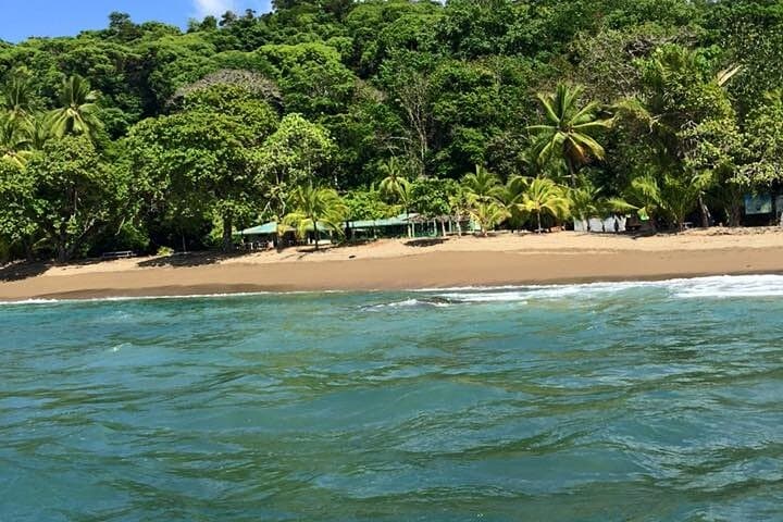 Corcovado National Park Day Tour from San José — Sierpe Boat & San Pedrillo Hike photo 4
