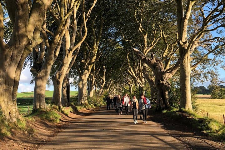 Antrim Coast Day Tour: Giants Causeway, Carrick-a-Rede, Dark Hedges and Carrickfergus photo 3