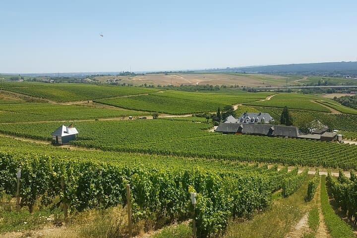 Romantic Rhine Valley Private Day Trip: River Cruise, Castles & Wine Tasting from Frankfurt photo 5