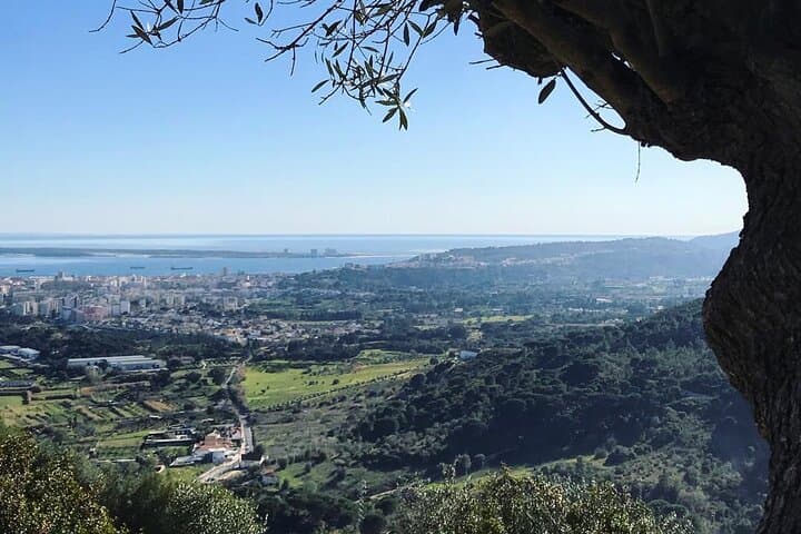Three Castles of Arrábida: Setúbal, Palmela & Sesimbra Private Day Tour photo 5