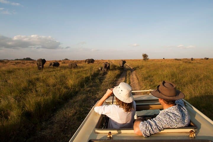 Hwange Park Big 5 Game Drive — Full-Day Safari in Zimbabwe photo 5