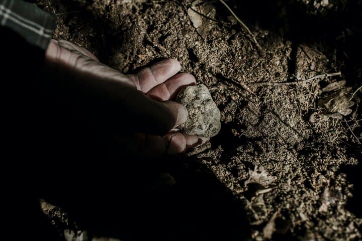 Truffle Hunting Near Alba: Private Trifolao Walk & Tasting in the Langhe photo 3