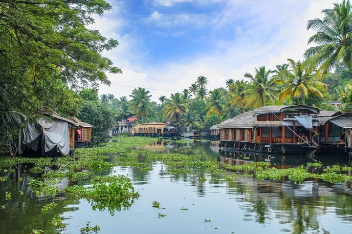 Cochin to Bangalore: Backwaters, Tea Estates, Temples & Palaces photo 2