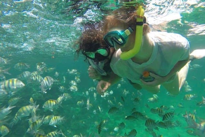 Captain Your Own Speedboat: Snorkel Punta Cana’s Bavaro Reef & Natural Pool photo 2