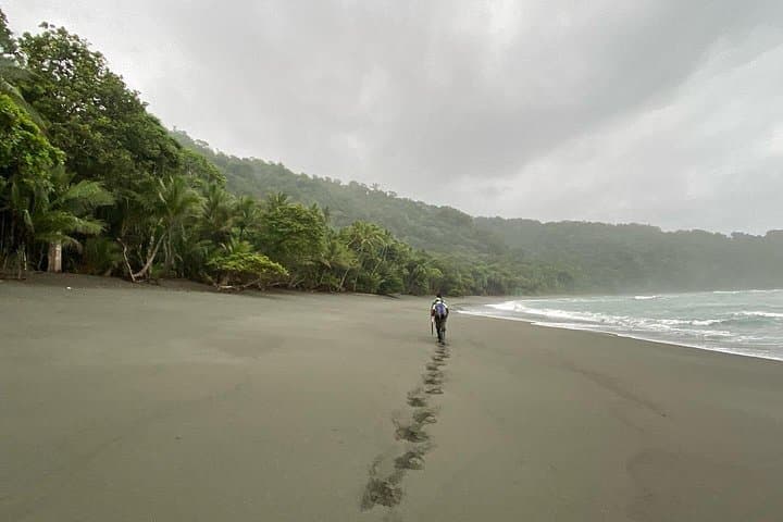 Overnight in Sirena: 2-Day Corcovado Jungle Trek from Puerto Jiménez photo 3