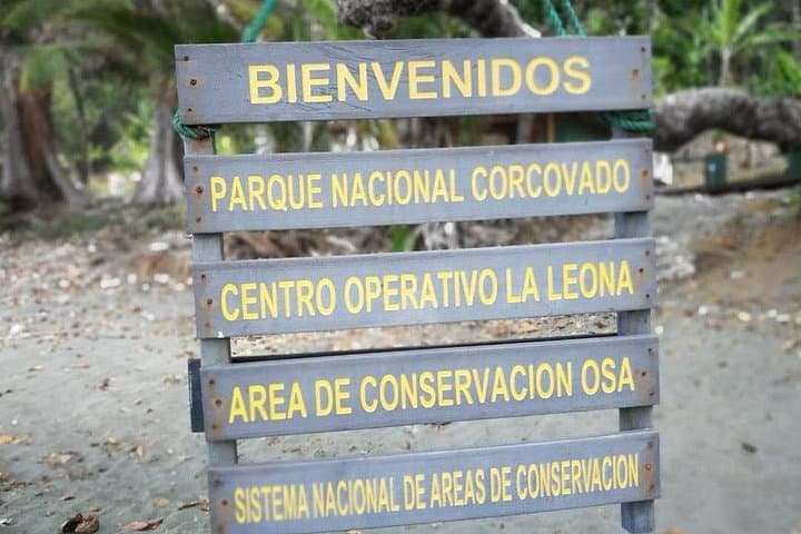 Overnight in Sirena: 2-Day Corcovado Jungle Trek from Puerto Jiménez photo 5