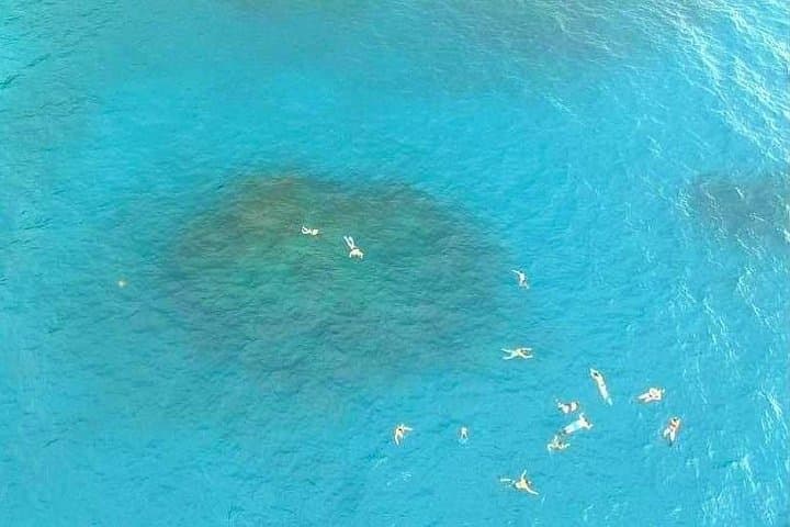 Snorkeling Caño Island from Sierpe: Day Trip to Isla del Caño Marine Reserve photo 1
