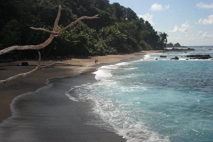 Snorkeling Caño Island from Sierpe: Day Trip to Isla del Caño Marine Reserve photo 3