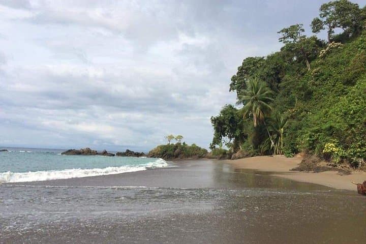 Snorkeling Caño Island from Sierpe: Day Trip to Isla del Caño Marine Reserve photo 4