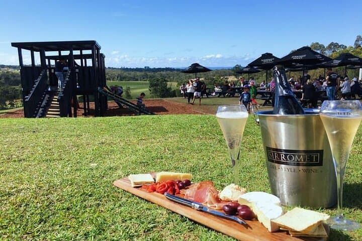 Helicopter Winery Tour: Sirromet via Mt Coot-tha & Brisbane CBD photo 3