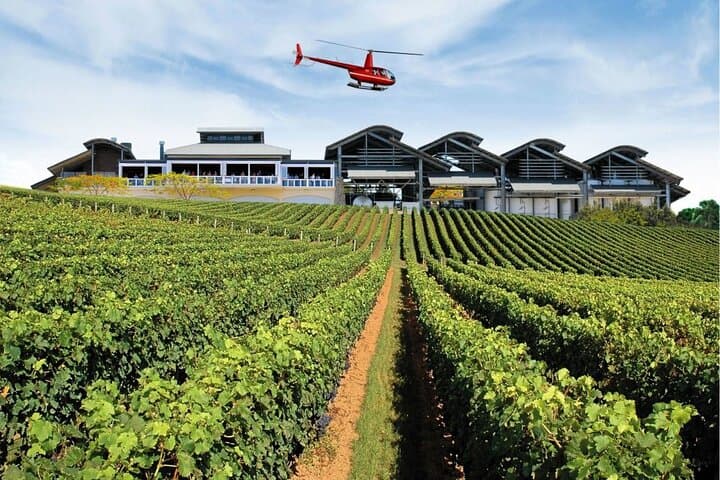 Helicopter Winery Tour: Sirromet via Mt Coot-tha & Brisbane CBD photo 4